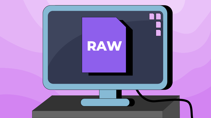 What is RAW file