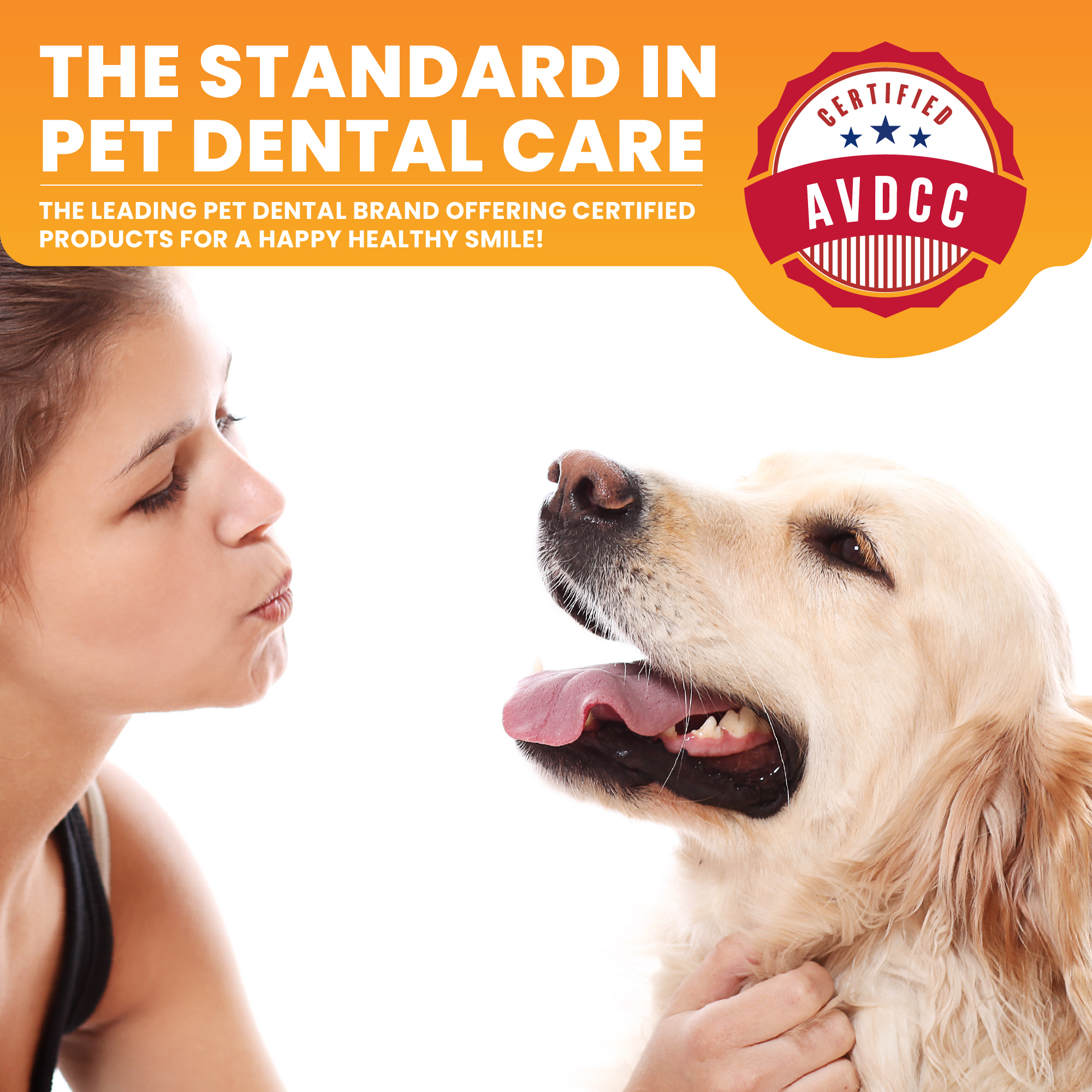 Amazon Infographic for pet dental product